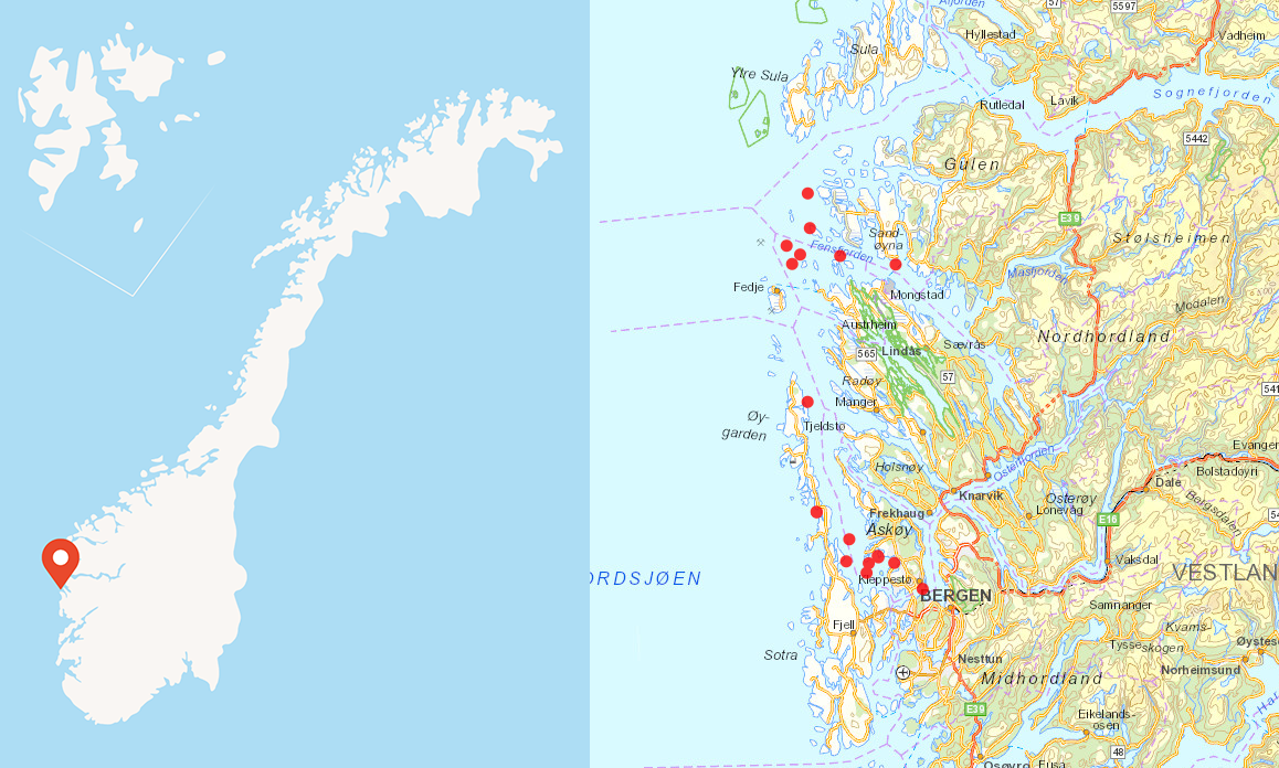 Bergen-Sognesjøen info.png